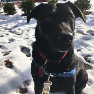 Meet your Posher, Megan